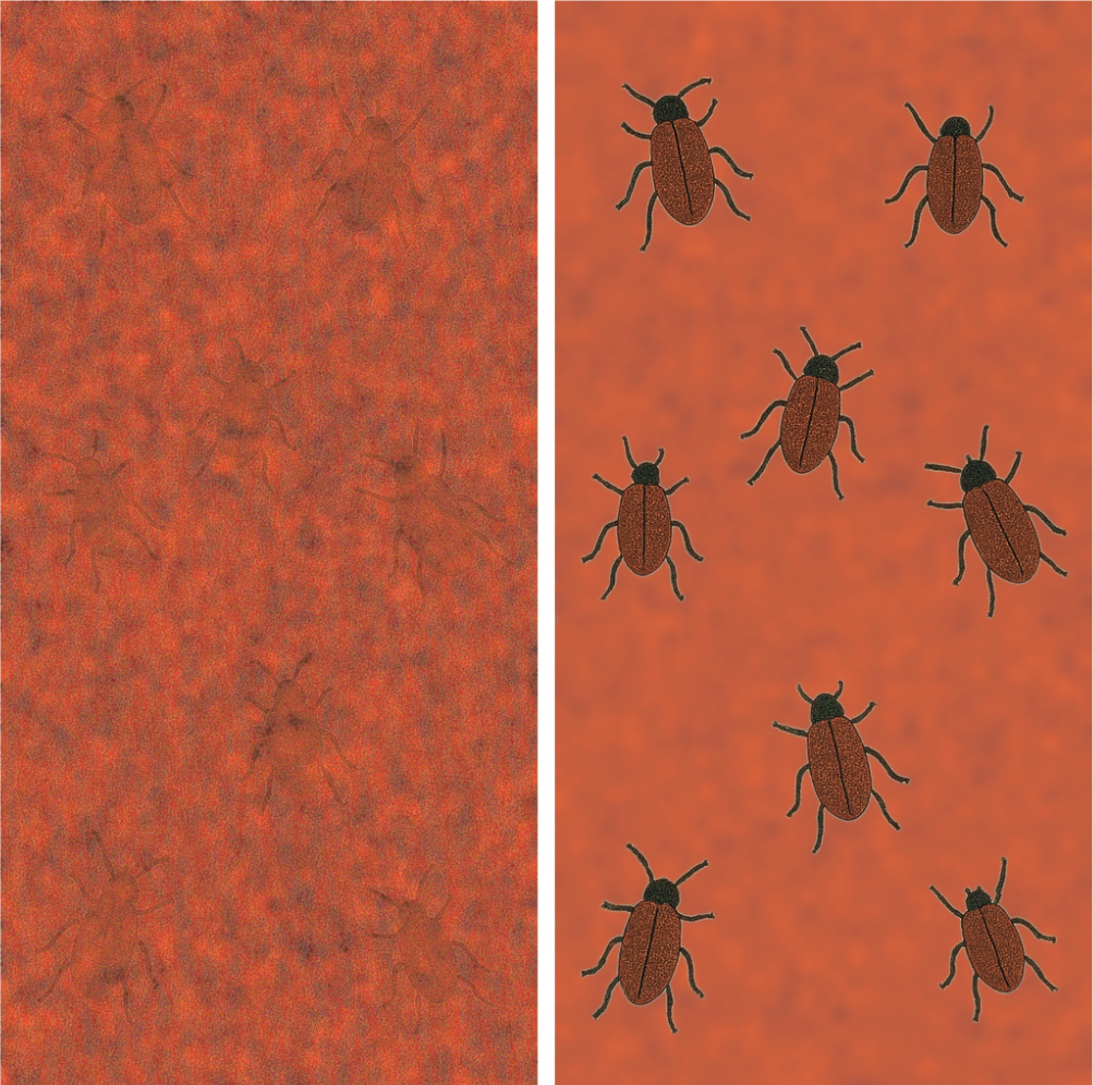 
The Test Automation Crisis
